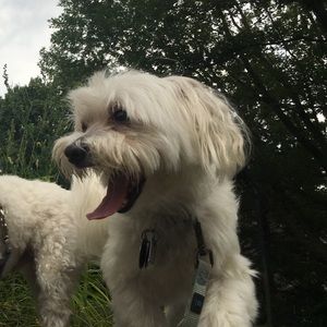 Meet your Posher, Hayden